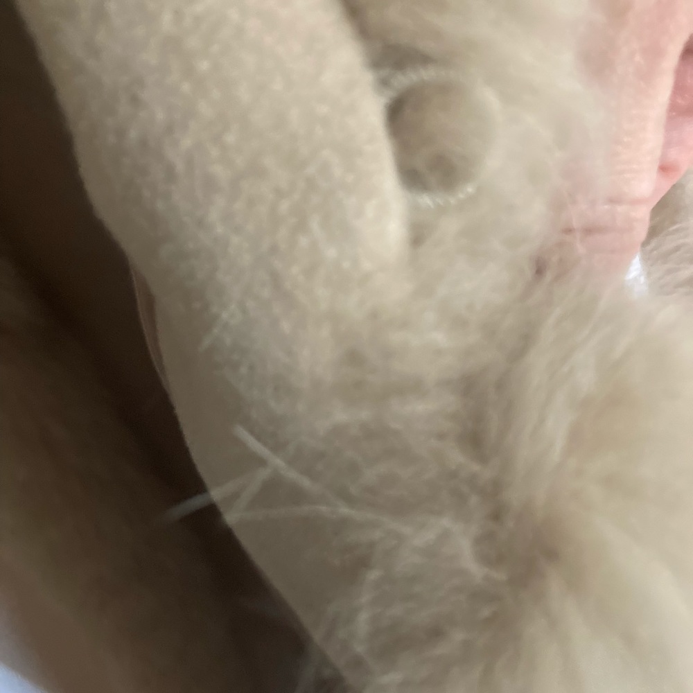 Marvin Richards Winter Fox Fur Trim Coat - Picture 8 of 9